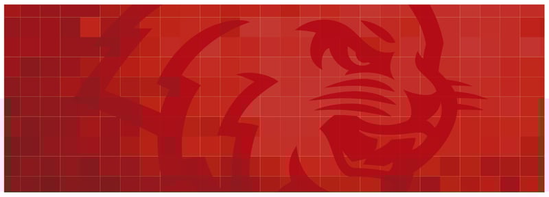 ¡Descubre el nuevo Lince UVM!