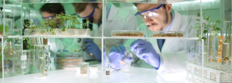 La biotecnología como parte de la vida diaria